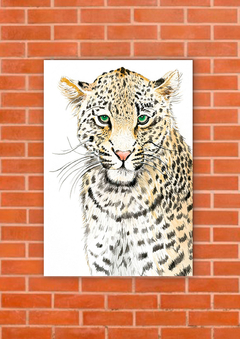 Leopardos 60 - tienda online