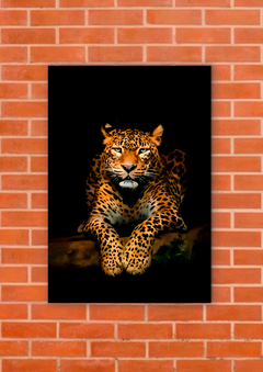 Leopardos 64 - tienda online