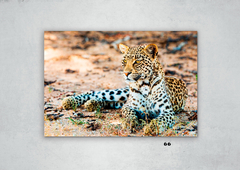 Leopardos 66 en internet