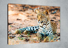 Leopardos 66 - GG Cuadros
