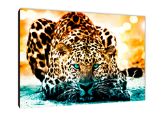 Leopardos 67 - comprar online