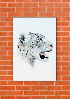 Leopardos 71 - tienda online