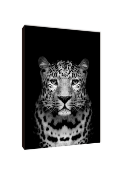 Leopardos 73 - comprar online
