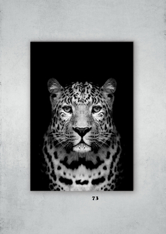 Leopardos 73 en internet