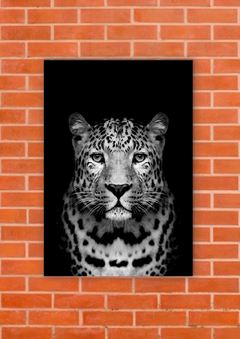 Leopardos 73 - tienda online