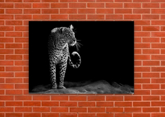 Leopardos 74 - tienda online