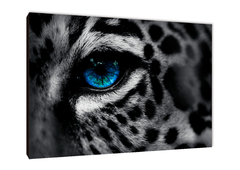 Leopardos 76 - comprar online