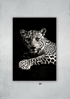 Leopardos 79 en internet