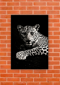 Leopardos 79 - tienda online