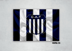 Club Atlético Talleres (CATEs) 3