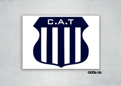 Club Atlético Talleres (CATEs) 6