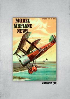 Aviones (Poster) 50