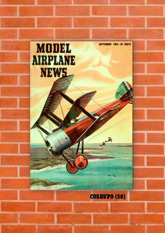 Aviones (Poster) 50 en internet