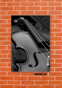 Violines 14 en internet