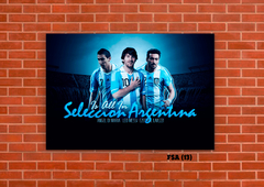Selección Argentina 13 en internet