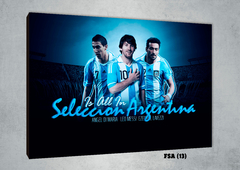 Selección Argentina 13 - comprar online