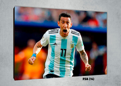 Selección Argentina 14 - comprar online