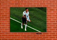 Selección Argentina 17 en internet