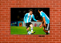 Selección Argentina 23 en internet