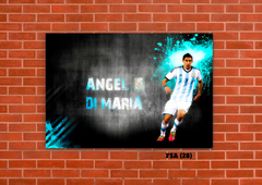 Selección Argentina 28 en internet
