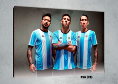 Selección Argentina 29 - comprar online