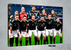 Selección Argentina 56 - comprar online