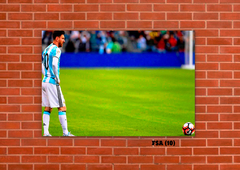 Selección Argentina 10 en internet
