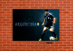 Selección Argentina 3 en internet