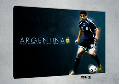 Selección Argentina 3 - comprar online