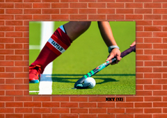 Varios Hockey 12 en internet