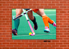 Hockey Varios 4 en internet