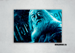 Albus Dumbledore 3