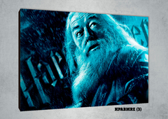Albus Dumbledore 3 - comprar online