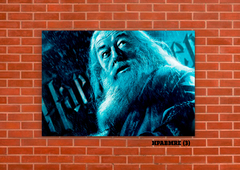 Albus Dumbledore 3 en internet