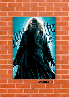 Albus Dumbledore 4 en internet