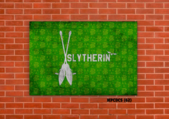 Slytherin 62 en internet