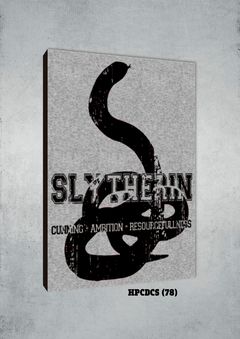 Slytherin 78 - comprar online