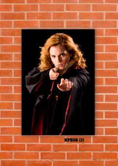 Hermione Granger 2 en internet
