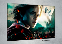 Hermione Granger 5 - comprar online