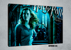 Hermione Granger 6 - comprar online