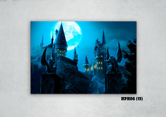 Castillo de Hogwarts 13