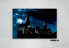 Castillo de Hogwarts 9