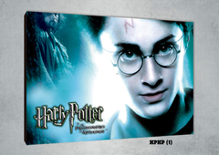 Harry Potter 1 - comprar online