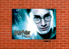 Harry Potter 1 en internet