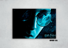 Harry Potter 13