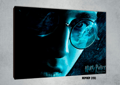 Harry Potter 13 - comprar online