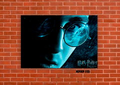 Harry Potter 13 en internet