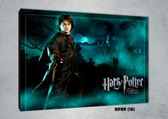 Harry Potter 16 - comprar online