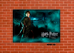 Harry Potter 16 en internet