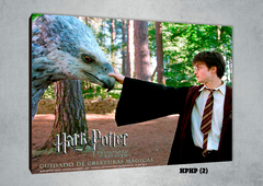 Harry Potter 2 - comprar online